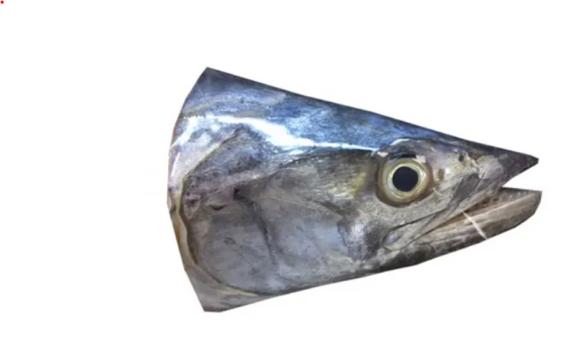 King Fish / Seer Fish / Surmai (सुरमई) (Head)