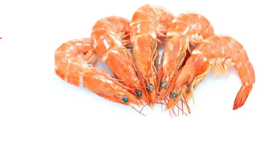 Prawns – Large (20-30 Count)